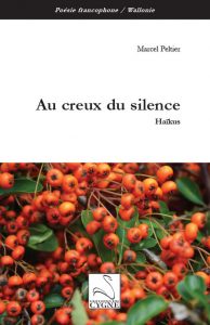 couverture de Au creux du silence